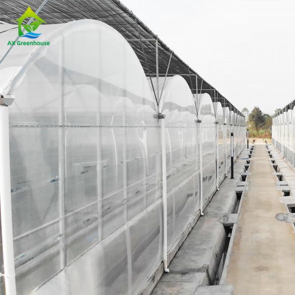 Quality Plastic Film Greenhouse For Vegetables for sale
