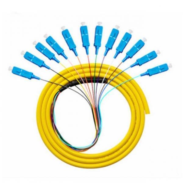 Quality Sc APC Upc Fiber Optic Pigtail 12 Cord Fibers Bunch Pigtail Multimode Single Mode for sale