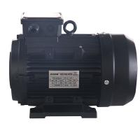 Quality 3 Phase Hollow Shaft Motor 24mm Shaft Diameter For Electric Pressure Washer for sale