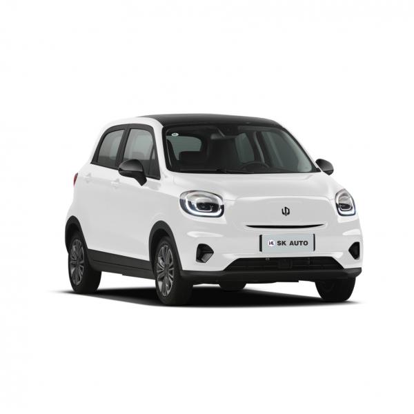 Quality High Speed MINI EV Leapmotor T03 Star Diamond Edition Max Speed 140Km/H for sale