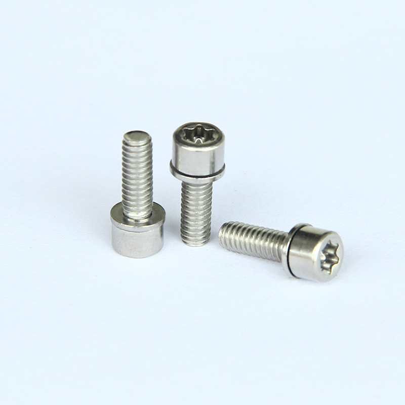 316 Stainless Steel DIN912 Torx Socket Head Machine screws