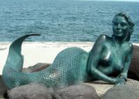 China Decoration Mermaid Outdoor Bronze Garden Sculpture 200cm Length OEM Available factory