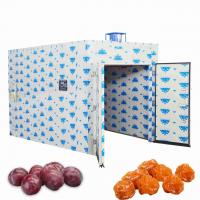 Quality 1000KG 26Kw PLC Ume Prunes Heat Pump Food Dryer Berry Fruit Tray Dryer for sale