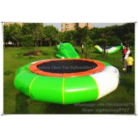 China Adult Outdoor Sports Inflatable Water Trampoline for Sale (CY-M2010) factory