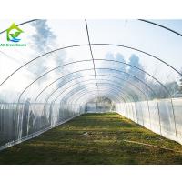 Quality Agricultural Polytunnel Commercial Hydroponic Greenhouse For Mushroom Cultivatio for sale