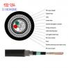 China High Strength 24 Core Armoured Fiber Optic Cable Loose Tub With PE Inner Sheath factory