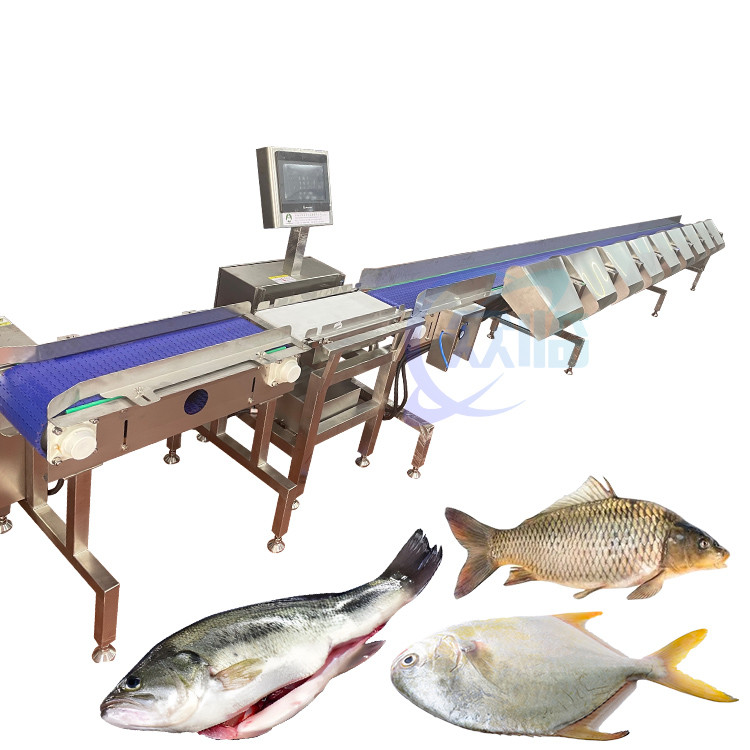 China Fully Automatic Fish Weight Sorting Machine Food Conveyor Weighing Scale factory