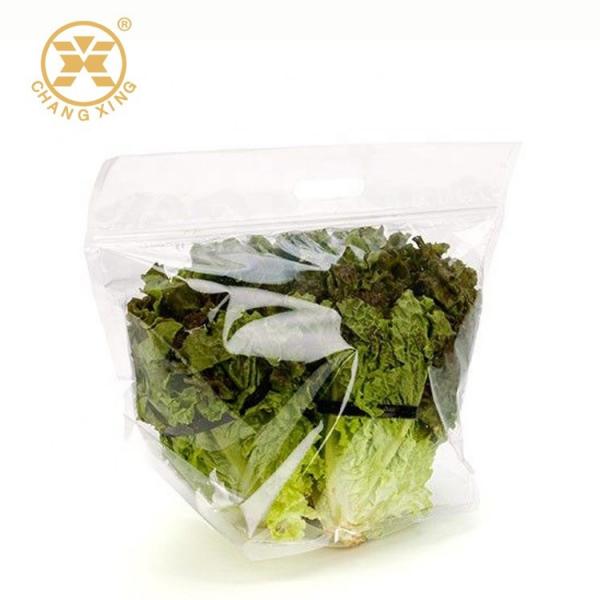 Quality 1KG Perforated Poly Gravure Zip Pouch Clear Plastic Bags For Packaging Salad for sale