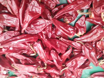 Quality 12CM Dry Red Chilli Whole Xinglong 10KG Dried Asian Chili Peppers for sale