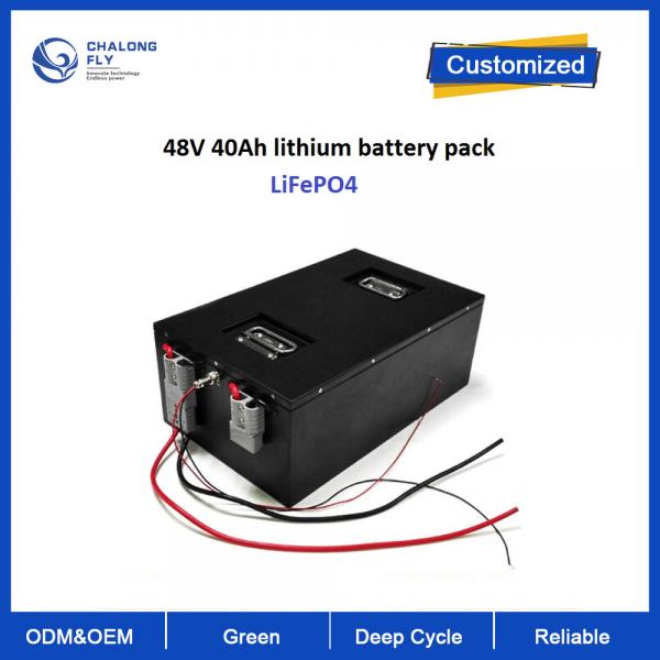 Quality Lithium LiFePO4 OEM Battery Pack With RS485 Communication AGV RGV Golf Cart Robot Motorcycles Scooter with 6000cycles for sale