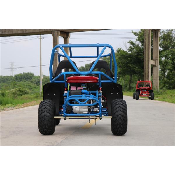 Quality Fashionable 2 Seat Off Road Go Kart Buggy 200cc 4 Stroke Automatic Clutch for sale