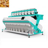 China Intelligent Japonica Thailand Rice Color Sorter Machine Pecan Sorting Machine factory