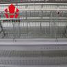 China A Type Layer Poultry Battery Cage Design Q235 Hot Dip Galvanized Steel Wire factory