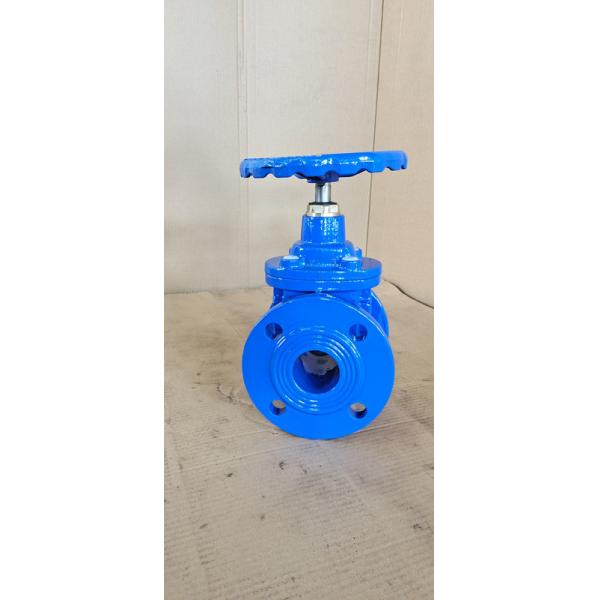 Quality Resilient Soft Seated 2 Inch Water Gate Valve PN10 PN16 Custom for sale