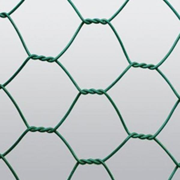 Quality Triple Twisted Hexagonal Wire Mesh Plastic Black Coated Plated Rolls 1