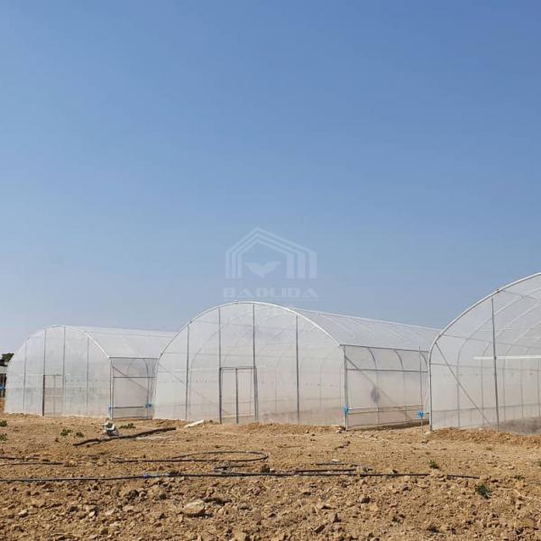 Quality Metal Frame Hothouse Vegtable Hoop House High Tunnel Greenhouse for Sale for sale