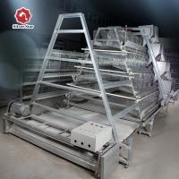 China Full Automatic Manure Cleaning System Baby Chick Cage factory