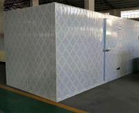 China Commercial Modular Cold Storage Room / Fish And Seafood Walk - In Freezer factory