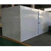 China Commercial Modular Cold Storage Room / Fish And Seafood Walk - In Freezer factory