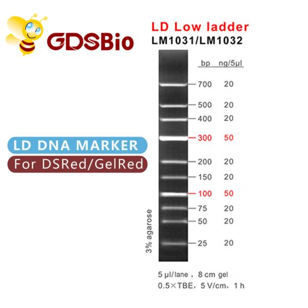 Quality LD Low Ladder DNA Marker LM1031 (60 preps)/LM1032 (60 preps×3) for sale