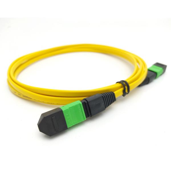 Quality SENKO 12 core MPO APC Singlemode OS2 mtp trunk cable Polarity A for sale