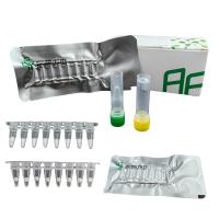 Quality High Sensitivity DNA Isothermal Amplification Kit NFO 48 Tests / Box for sale