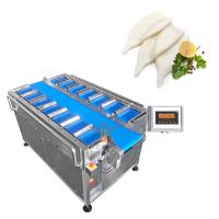 China Food Fruit Squid Tube Vegetable Combination Weigher With Belt Conveyor 12/14 Head Manual Belt Weigher factory