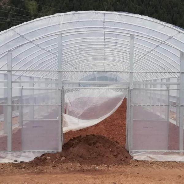 Quality Double Arches Double Film Agricultural Growing 10X50m Single Span Greenhouse for sale