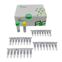 Quality Isothermal PCR Kit for sale