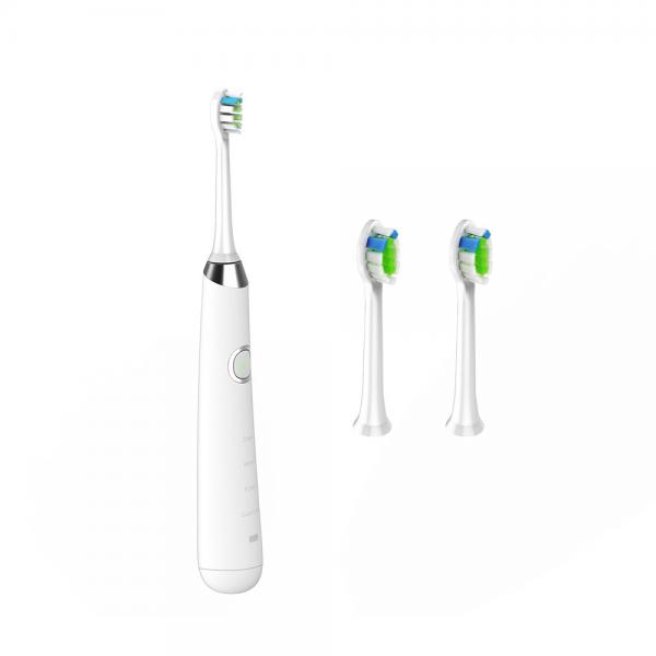 Quality Travel IPX7 Automatic Sonic Electric Toothbrush , ROHS 30 Second Toothbrush for sale