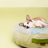 China Xl Summer Ice Silk Dog Cooling Mat Removable Washable Dog Bed Cushion factory
