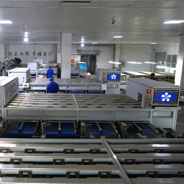 Quality 304 SS Material Inshell Chestnut Sorting Machine 8 Lanes for sale