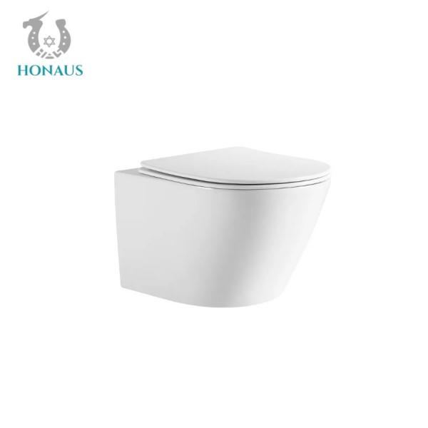 Quality Customized Rimless Bathroom Toilet Bowl Washdown Wall Mounted Commode for sale