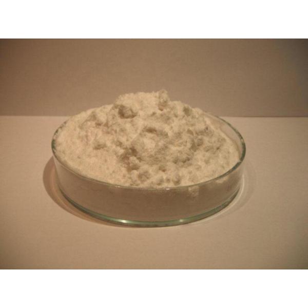 Quality 50kg/H Whey Protein Solution Lab Egg Powder Spray Dryer for sale