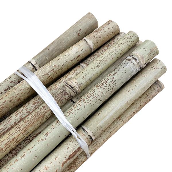 Quality Nature Raw Bamboo Straight Bamboo Poles For Garden Farm Plant Support Building for sale