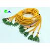 China E2000 - E2000 48F Fiber Optic Patch Cables OS2 Multifiber Single Mode Breakout factory