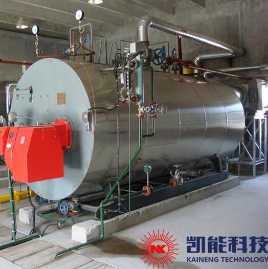 China Gas Fired High Efficiency Steam Boiler Ripple Taper Furnace Combined for sale