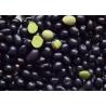 China Green Kernel Organic Roasted Black Beans Original Flavor Crispy Texture factory