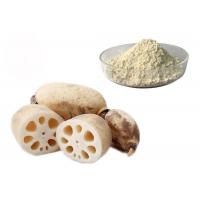 China Meal Replacement Pure Natural Lotus Root Vegetable Extract Powder factory