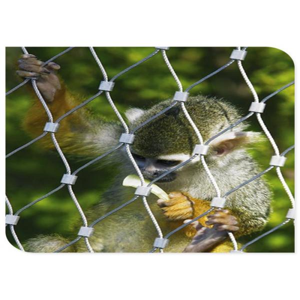 Quality Ferruled Style X-Tend Stainless Steel Cable Wire Mesh Netting For Zoo Breaking for sale