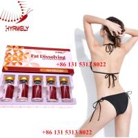 China Safe Lipolysis Solution Liquid Fat Dissolving Injection Bodybuilding factory