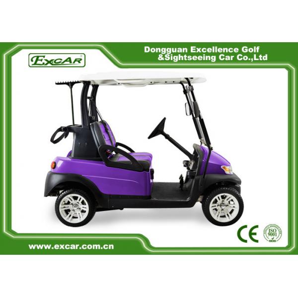 Quality Purple And Black 2 Passenger Electric Car 48V With 1 Year Warranty for sale