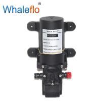 China Whaleflo 12V FLO-2202A 80PSI 4LPM pressure sprayer pump/ electric battery powered water pump factory