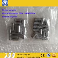 China Original Roller set 0750119100 , ZF gearbox spare parts for ZF transmission 4WG200 factory