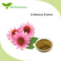 China Plant Echinacea Purpurea Extract Powder Natural Herbal Extract Anti Virus factory