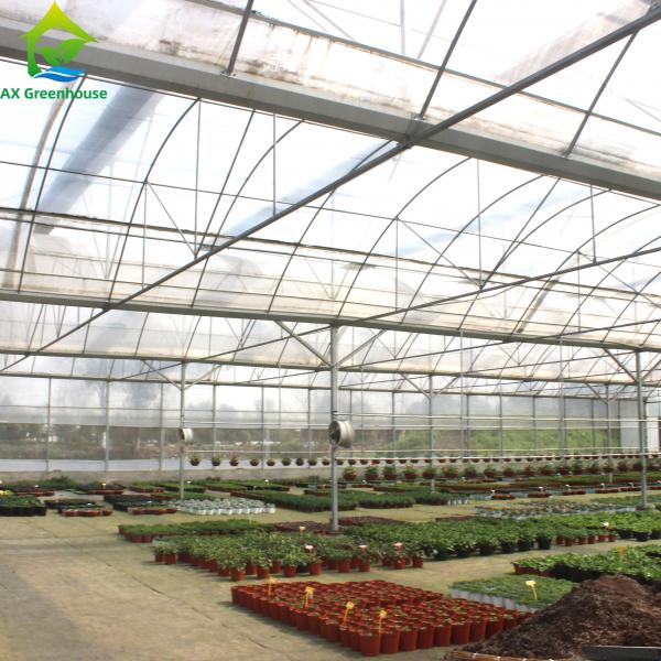 Quality Multispan 4 Season Plastic Film Insect Net Greenhouse For Cucumbers for sale