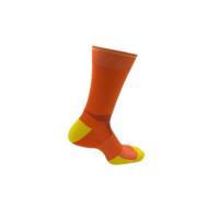 Quality Breathable Sports Trainer Socks Womens Biking Socks Half Cushion Socks for sale