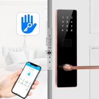 Quality OEM Apartment Smart Door Lock Mortise Digital Main Door Lock for sale