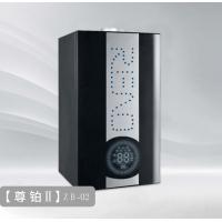 China Small Body Combi Wall Mounted Condensing Gas Boiler Environmental Health 20-24KW factory