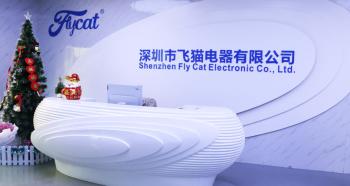 China Factory - Shenzhen Fly Cat Electronic Co., Ltd.